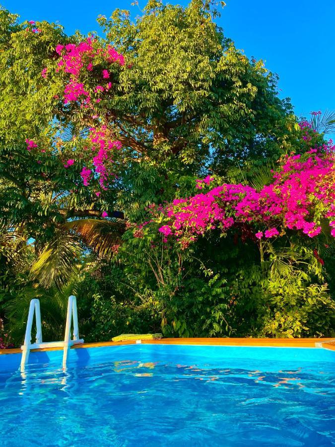 Villa Nature Caraibe Lodge, Vue Mer, Piscine Privee เดเอ ภายนอก รูปภาพ