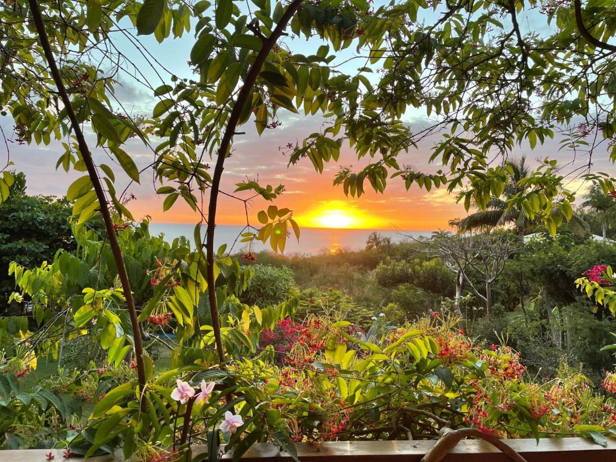 Villa Nature Caraibe Lodge, Vue Mer, Piscine Privee เดเอ ภายนอก รูปภาพ