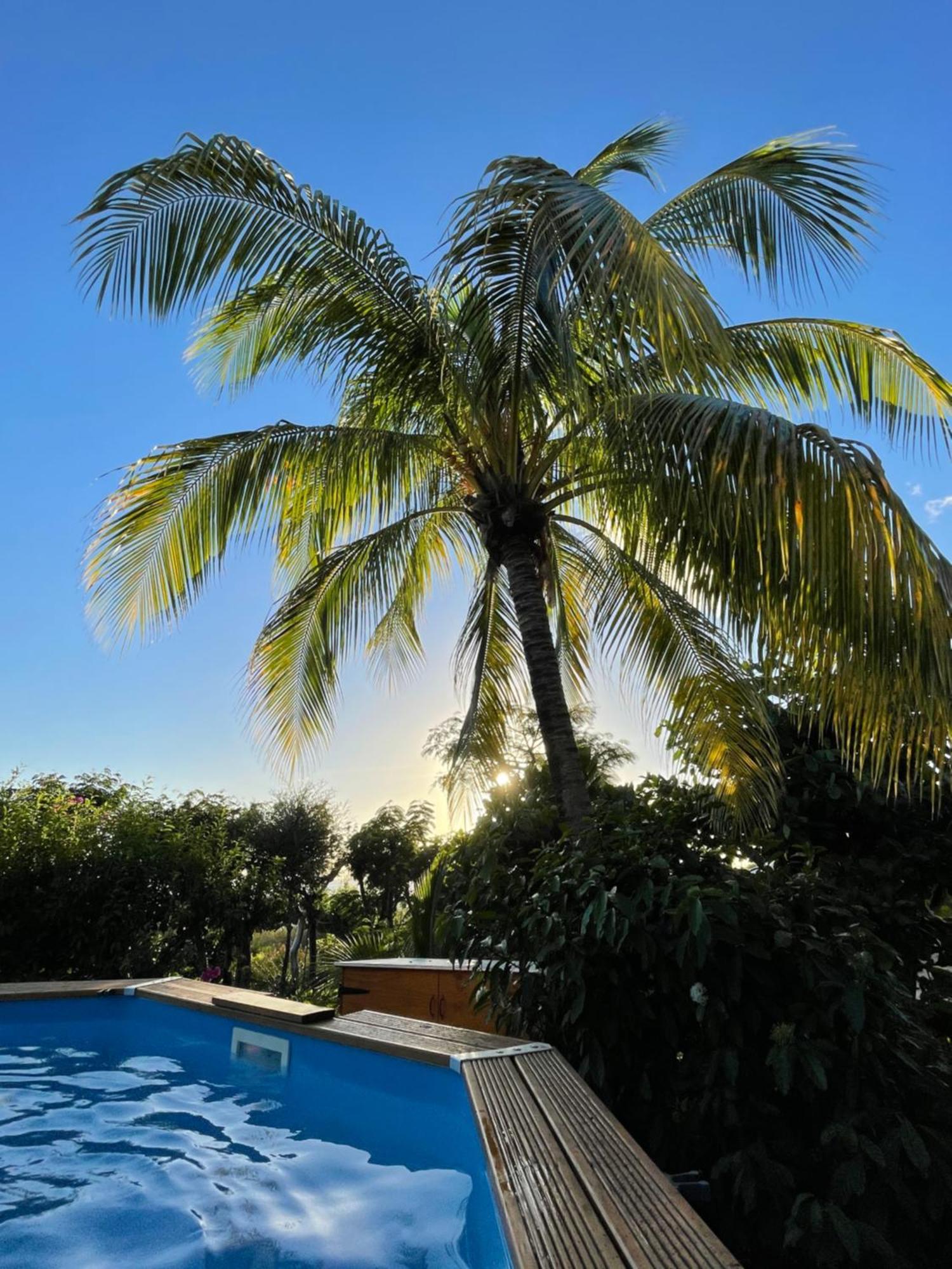 Villa Nature Caraibe Lodge, Vue Mer, Piscine Privee เดเอ ภายนอก รูปภาพ